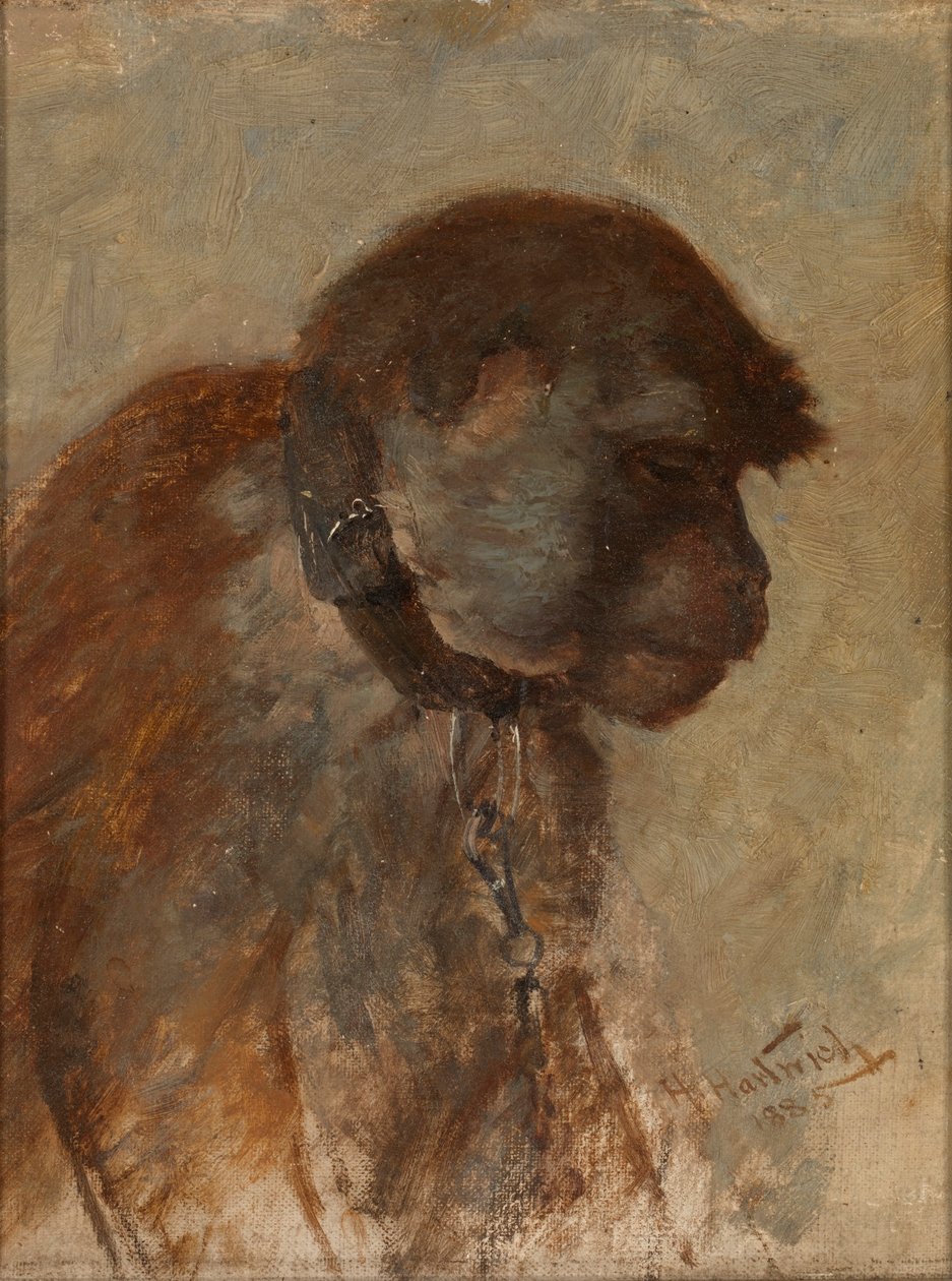 Meditation av Herman Hartwich
