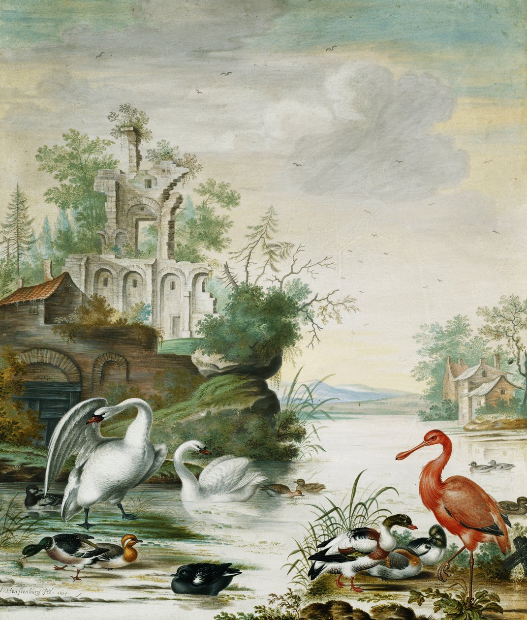 Svanar, en skednäbb, en gräsand, en peruka och andra ankor på en flod nedanför en ruin, 1694 av Herman Henstenburgh