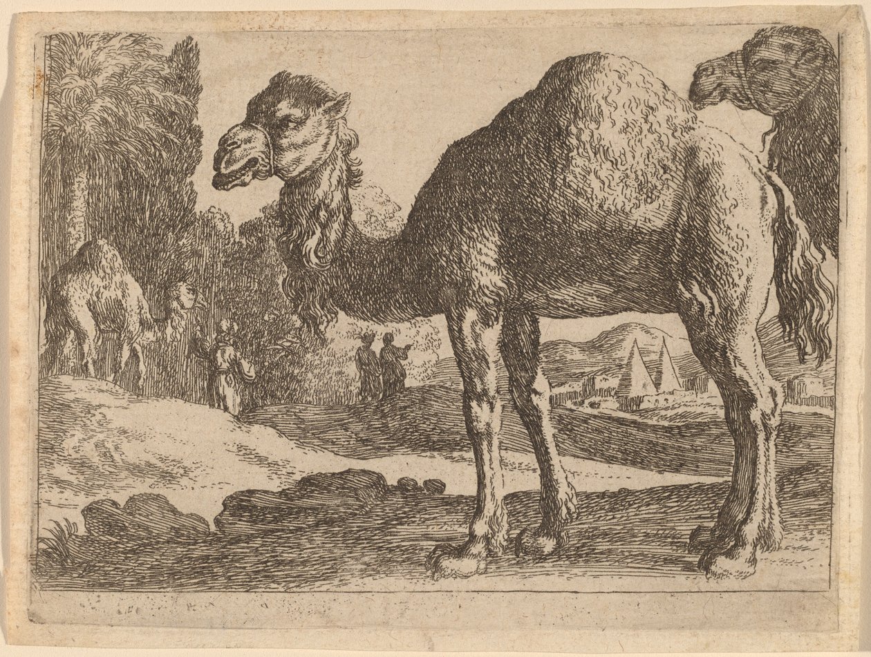 Kameler av Herman van Swanevelt