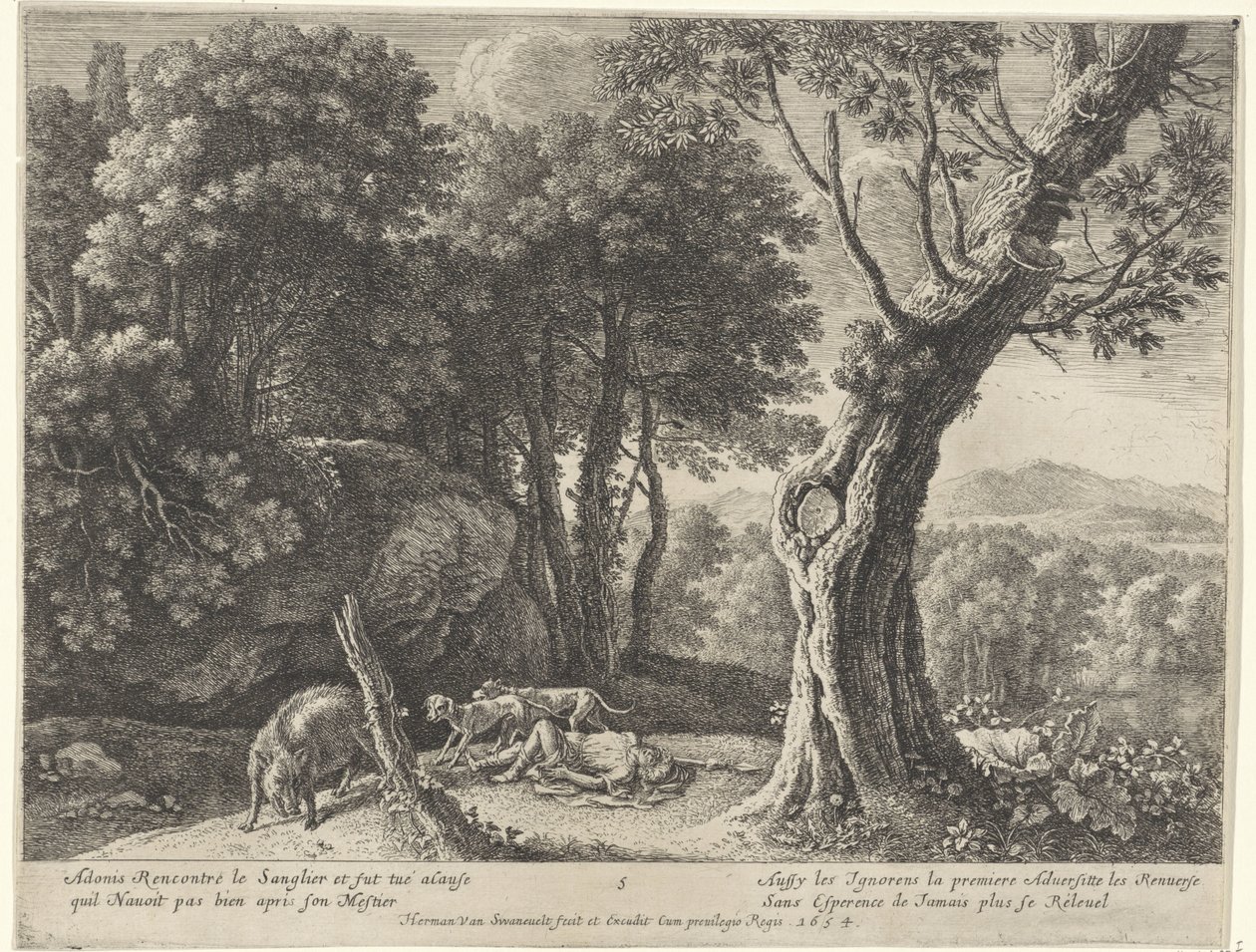 Adonis död Story of Adonis (serietitel) av Herman van Swanevelt
