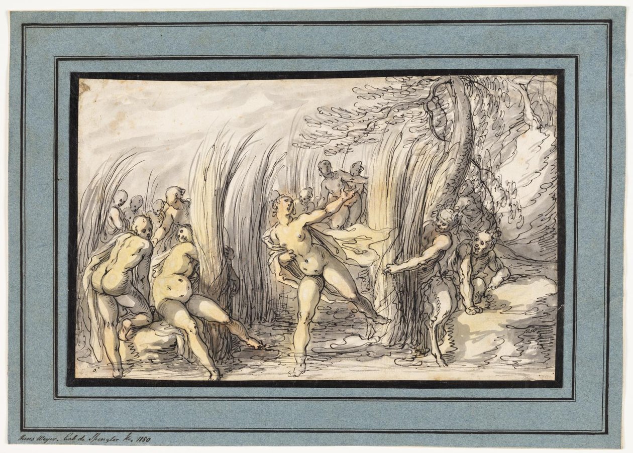 Nymfer jagade av Satyrer av Hermann Weyer