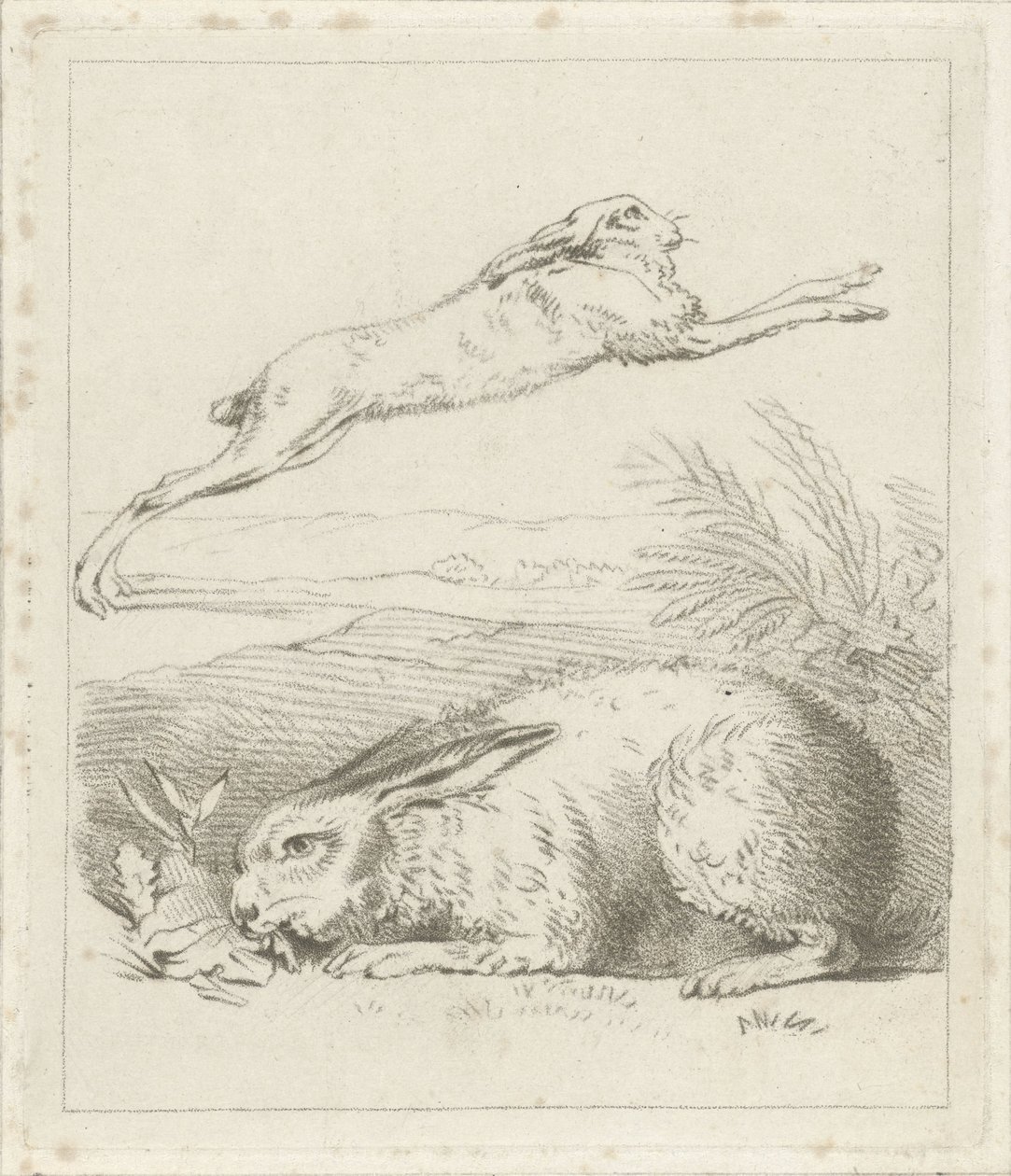 hare och kanin av Hermanus Numan