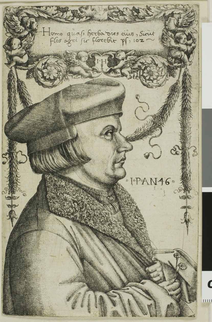 Porträtt av en man av Hieronymous Hopfer