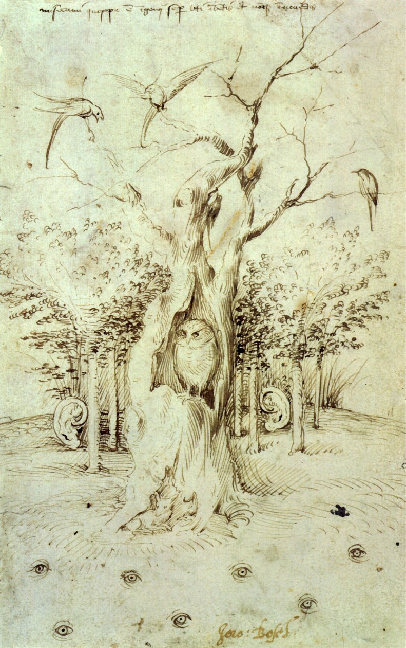The Forest that hears and the field that sees av Hieronymus Bosch