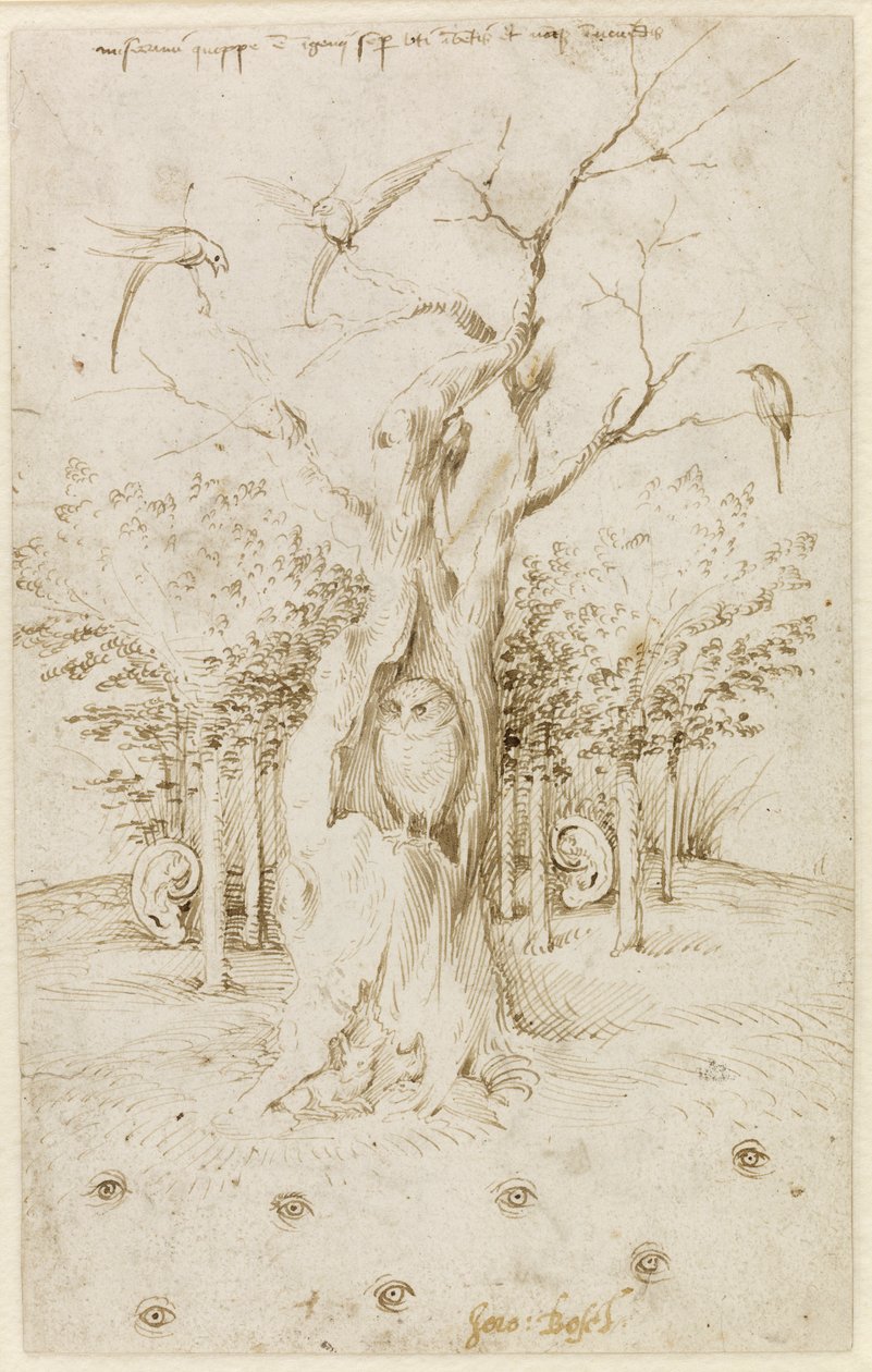Skogen har öron, fältet har ögon av Bosch, Hieronymus (ca 1450-1516). Penna, brunt indiskt bläck på papper, storlek: 20,2x12,7, ca. 1500-1515, Staatliche Museen, Berlin av Hieronymus Bosch