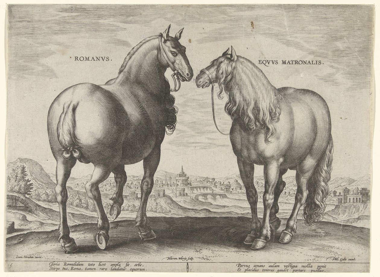 Häst från Rom och ett surrogatsto Romanvs Eqvvs Matronalis (titel på objekt) Hästaraser från Royal Stables of Don Juan of Austria (serietitel) Equile Ioannis Austriaci Caroli (serietitel) av Hieronymus Wierix