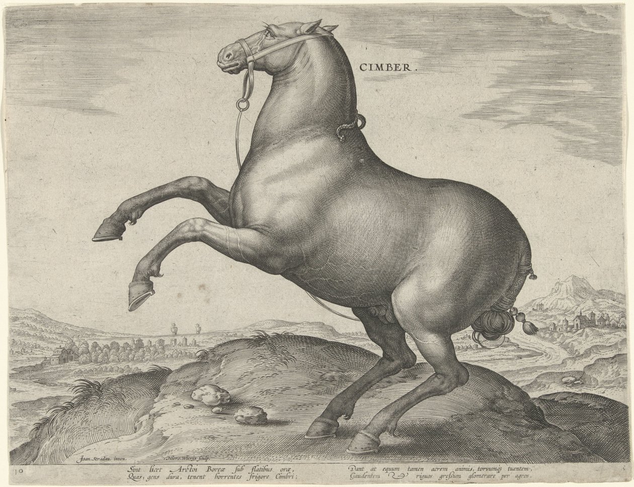 Häst från Scythia Cimber (titel på objekt) Hästaraser från Royal Stables of Don Juan of Austria (serietitel) Equile Ioannis Austriaci Caroli (serietitel) av Hieronymus Wierix