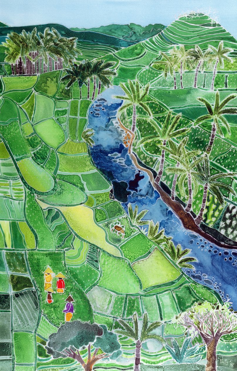 River Agung, Bali, 1996 (färgat bläck på siden) av Hilary Simon