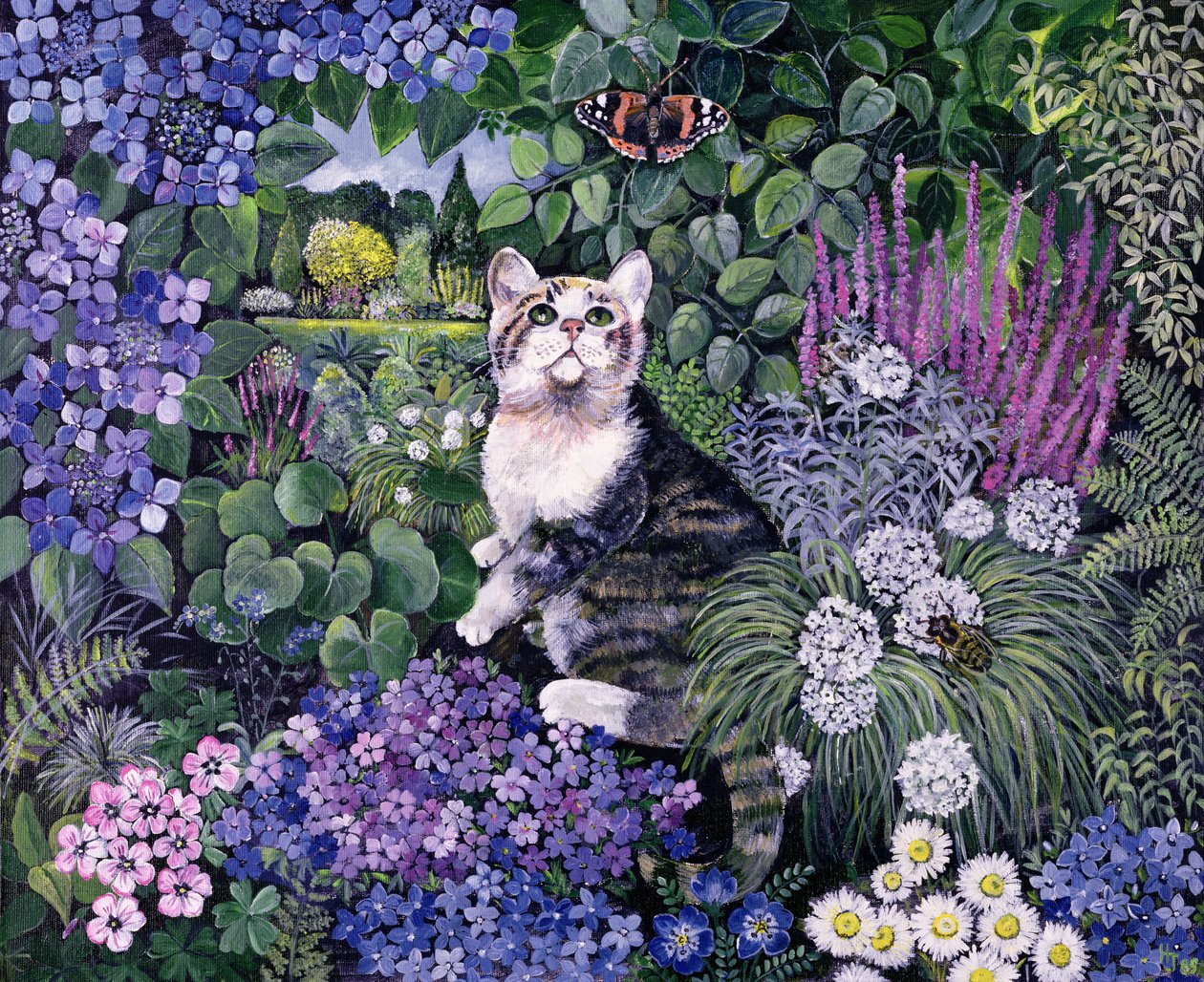 Bubblor av Hilary Jones