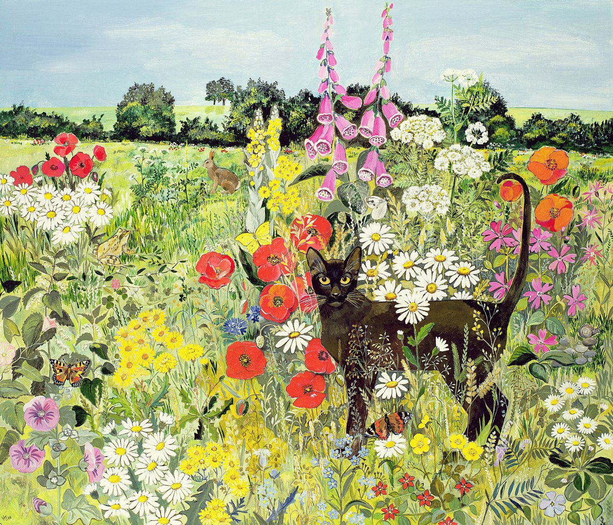 Sommarkatt av Hilary Jones