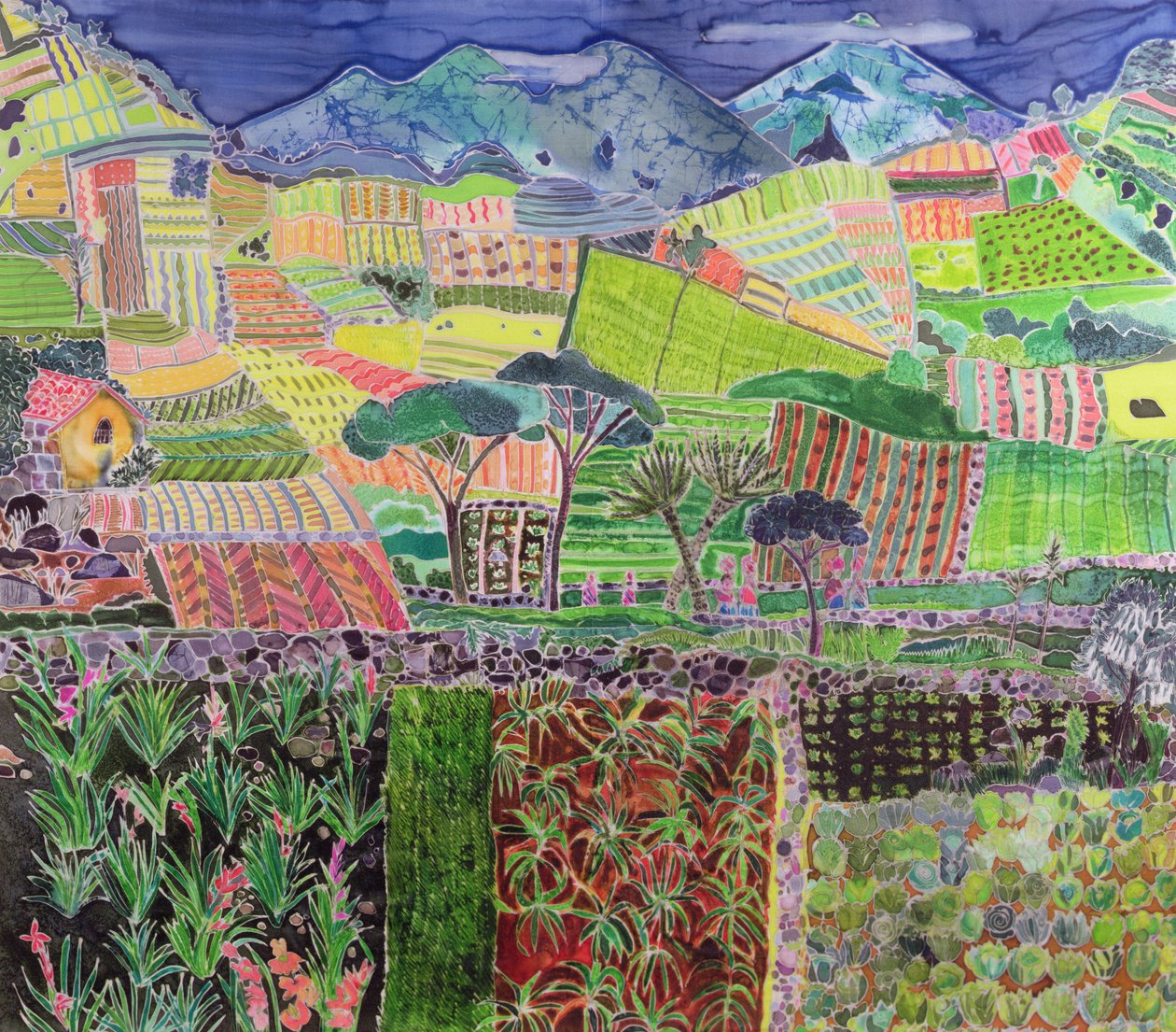 Cabbages and Lillies Revisited, Guatemala, 2006 (färgämnen på siden) av Hilary Simon