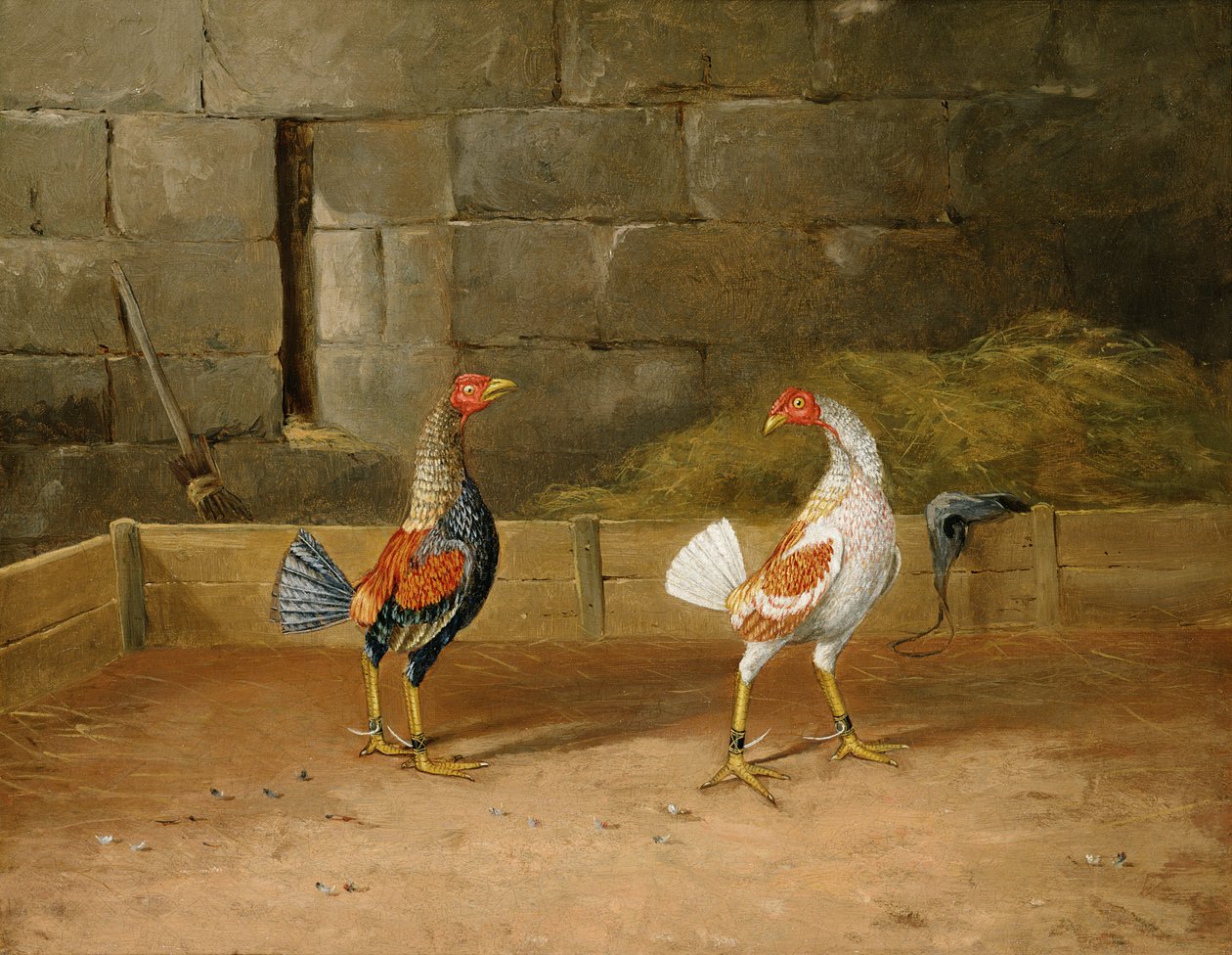 The Challenge (olja på duk) (par till 101164) av Hilton L. Jnr. Pratt