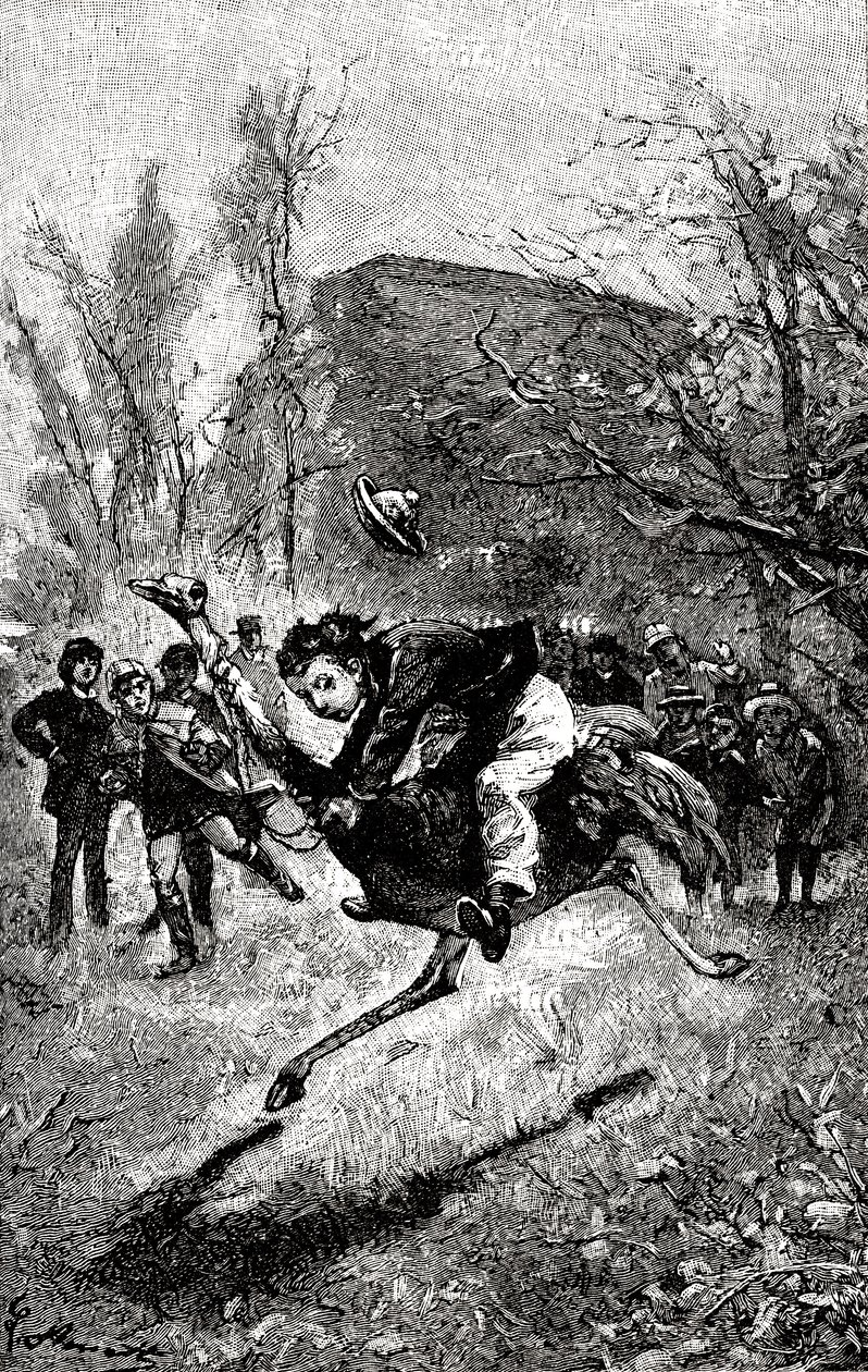 Den unga Servicen rider på en struts. Gravyr av Hippolyte Leon Benett