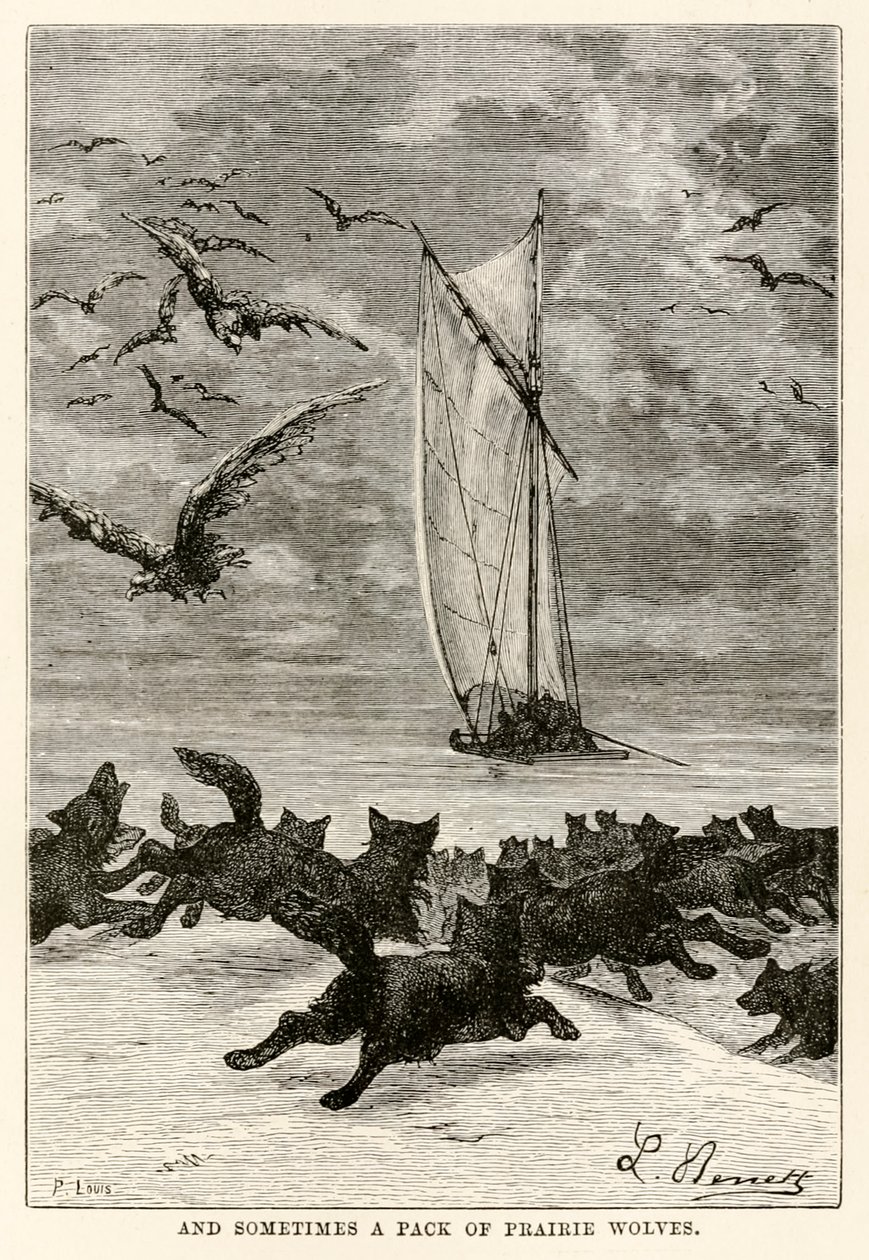 Och ibland en flock prärievargar, från Around the World in Eighty Days av Jules Verne (1828-1905) graverad av Louis, 1873 av Hippolyte Leon after Benett