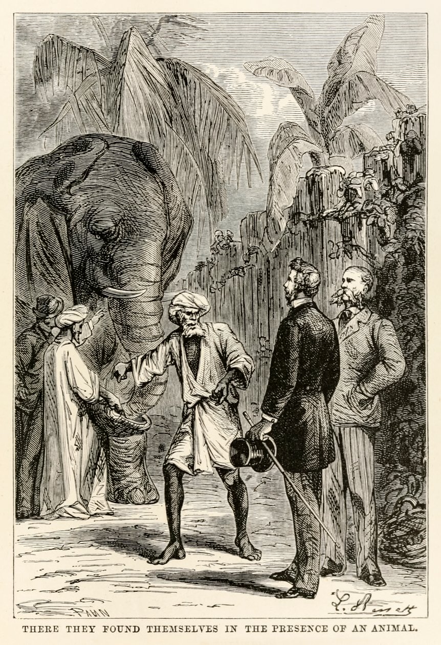 Där befann de sig i närvaro av ett djur, från Jorden runt på åttio dagar av Jules Verne (1828-1905), graverad av Adolphe François Pannemaker (1822-1900), 1873 av Hippolyte Leon after Benett
