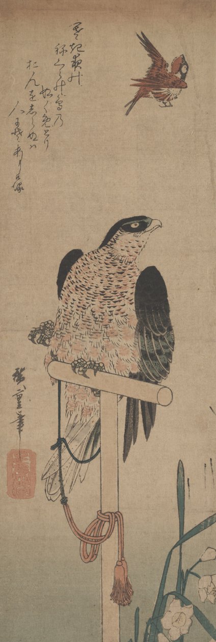 Falk på abborre, sparv och narcissus av Hirokage Utagawa