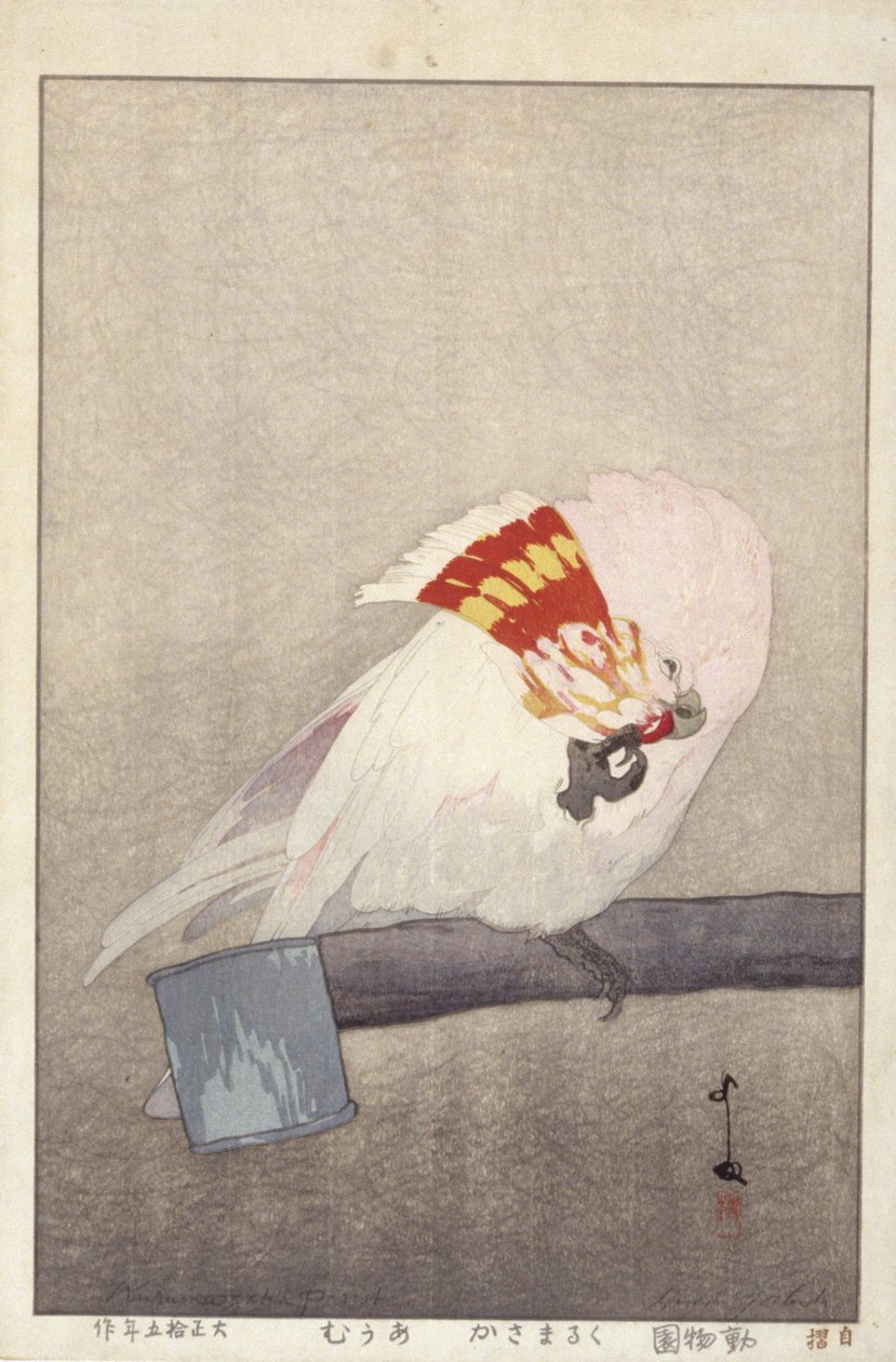 Kakadua på matare (trätryck i färg) av Hiroshi Yoshida
