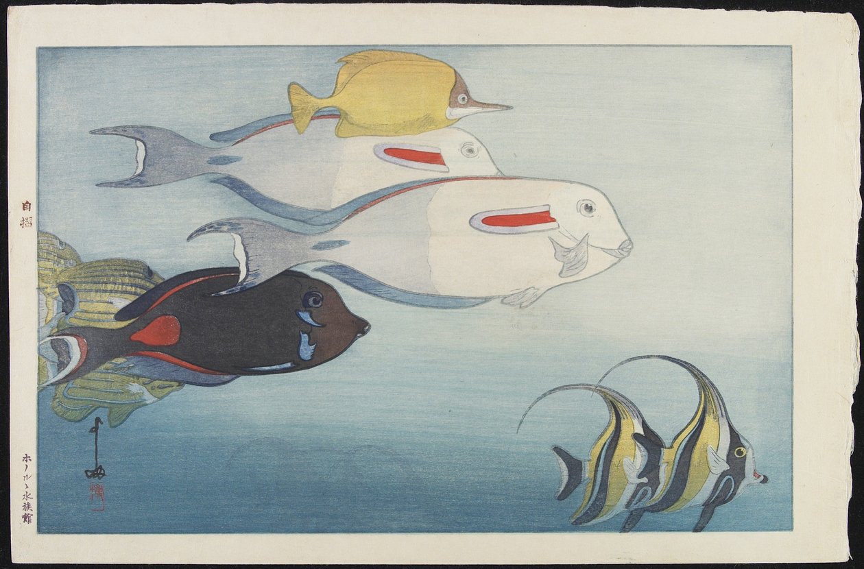 Honolulu Aquarium av Hiroshi Yoshida
