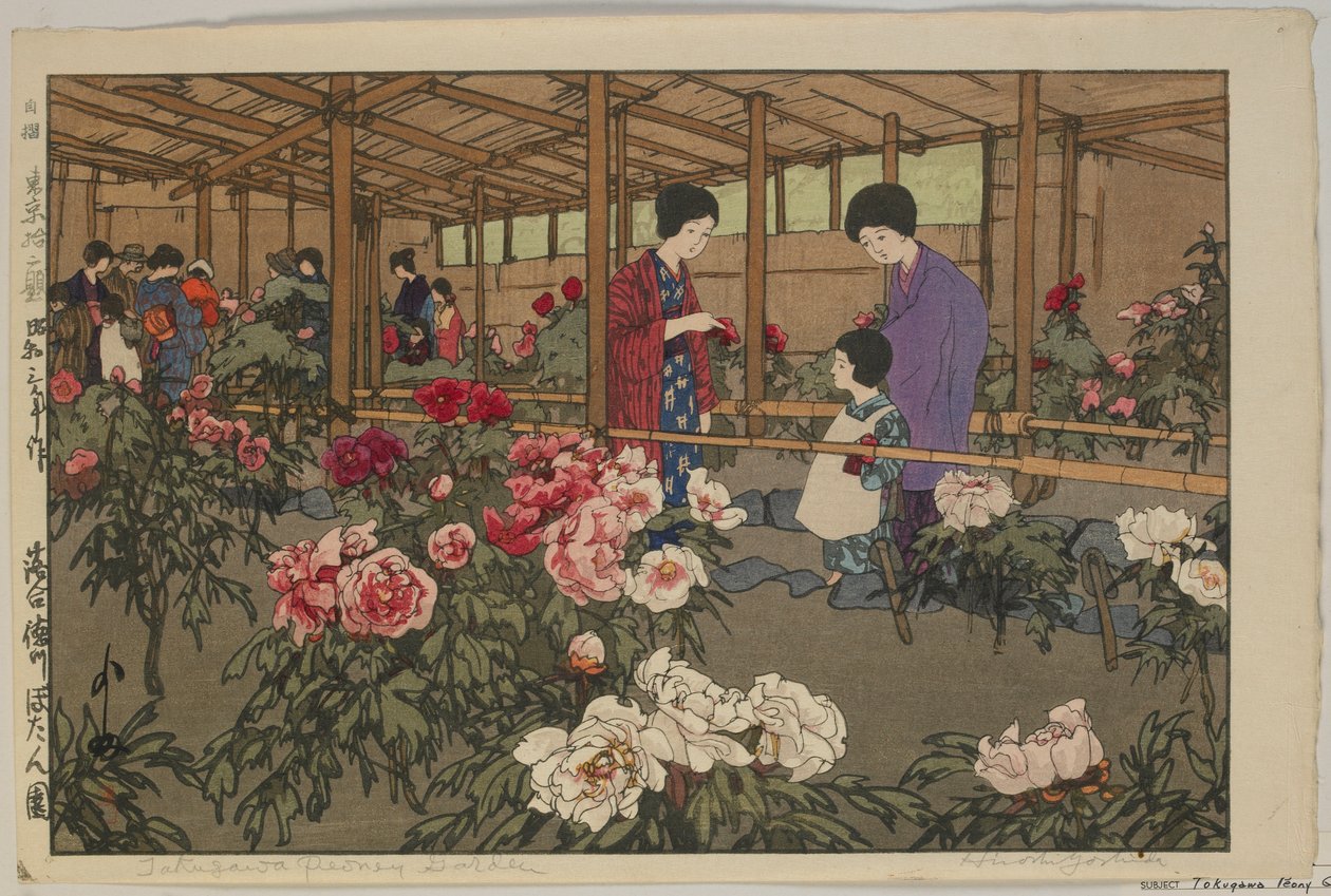 Tokugawa Peony Garden, från serien, Twelve Scenes of Tokyo, Showa era av Hiroshi Yoshida