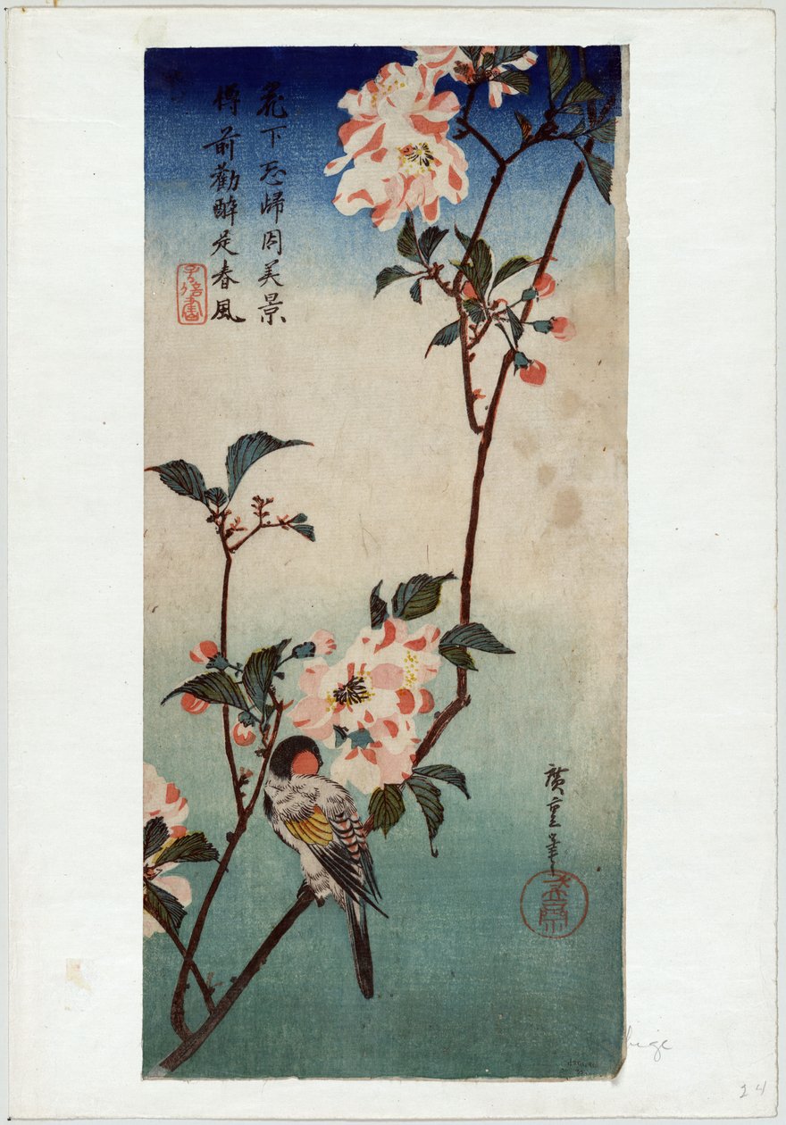 Kaido ni Shokin (Small Bird on a Branch of Kaidozakura) av Utagawa Hiroshige