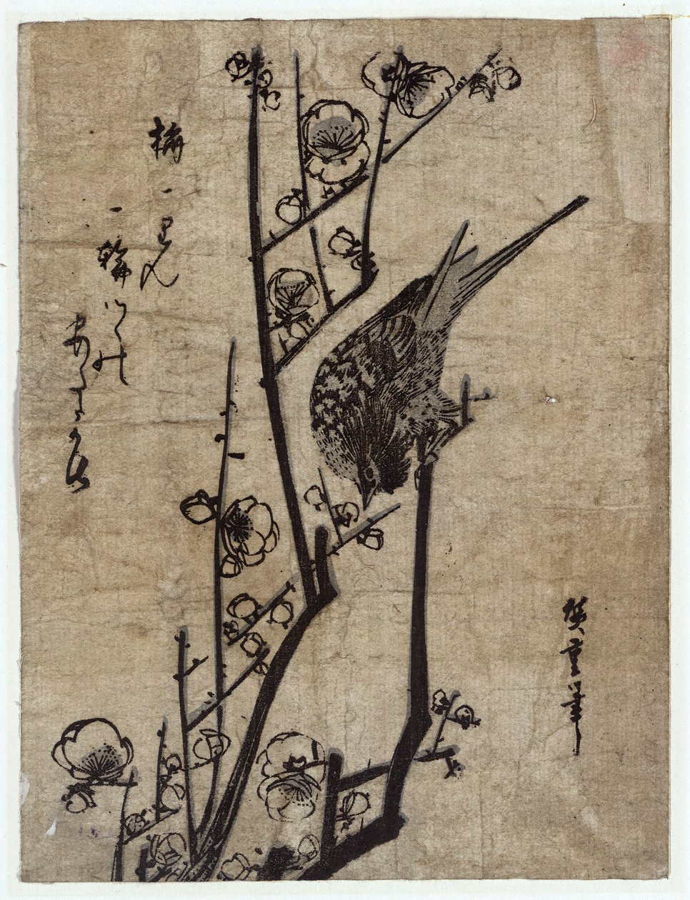 Ume ni Uguisu(Plommonblomma och busksångare) av Utagawa Hiroshige
