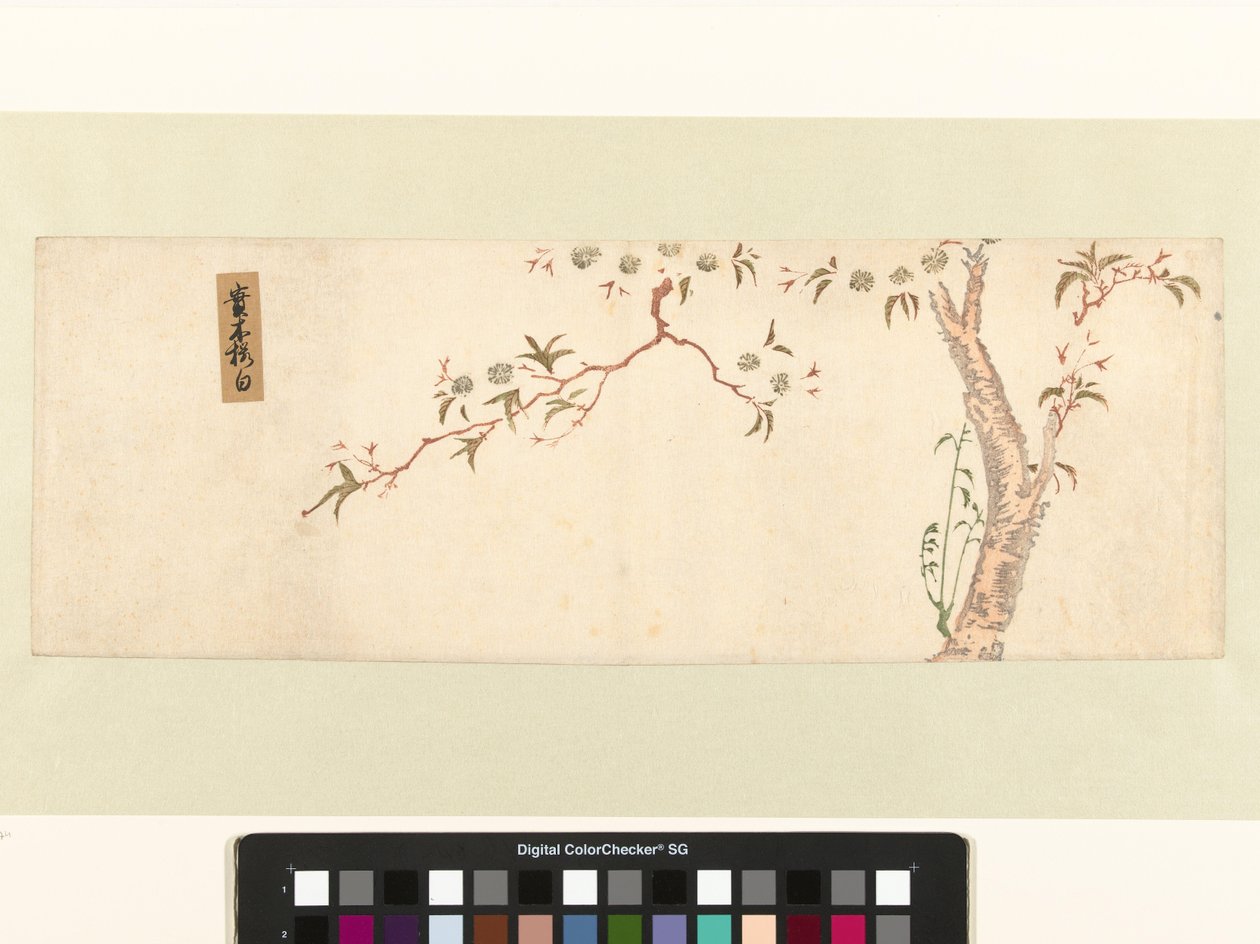 Blommande körsbärsträd av Hiroshige (I) , Utagawa (attributed to)