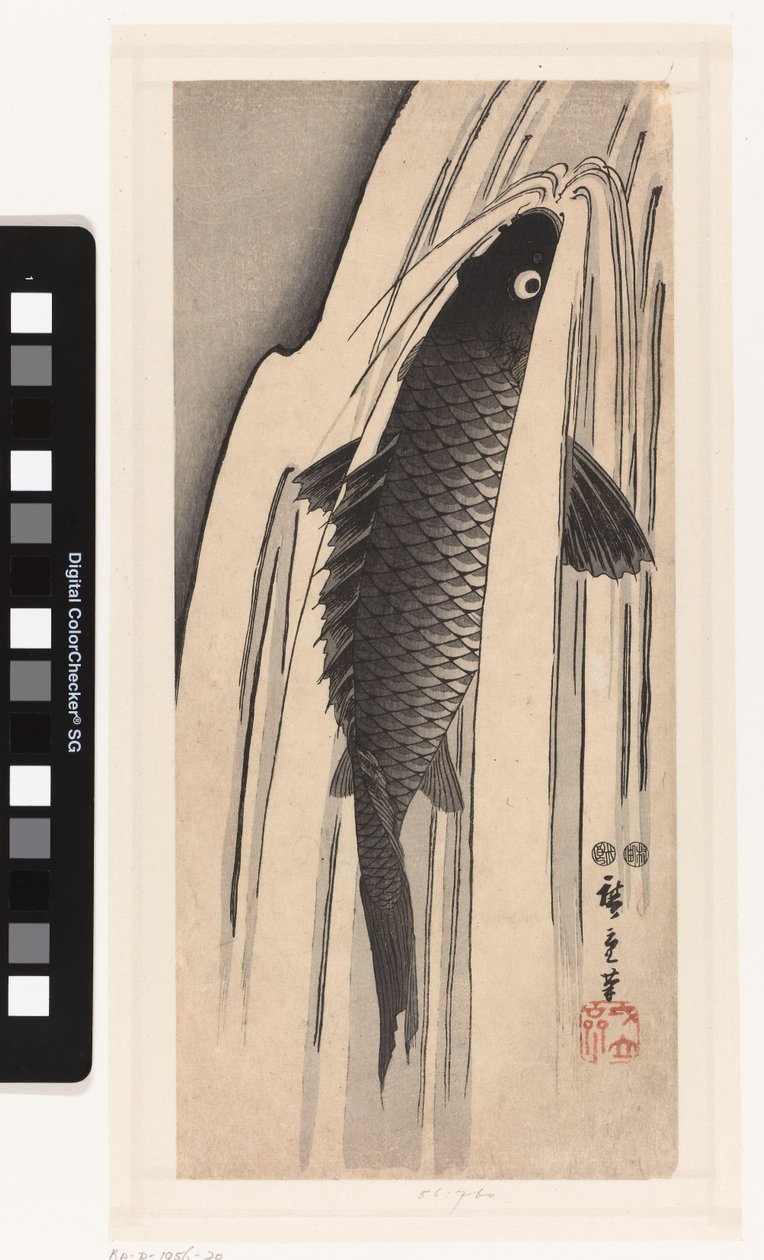Karp simmar mot ett vattenfall av Hiroshige (I) , Utagawa