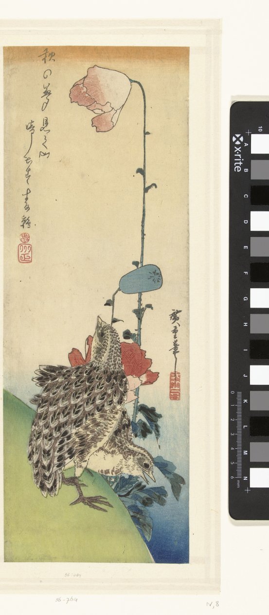 Vaktel och vallmo av Hiroshige (I) , Utagawa