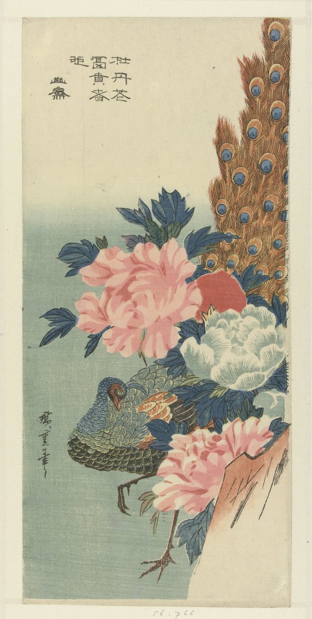 Påfågel och pioner av Hiroshige (I) , Utagawa
