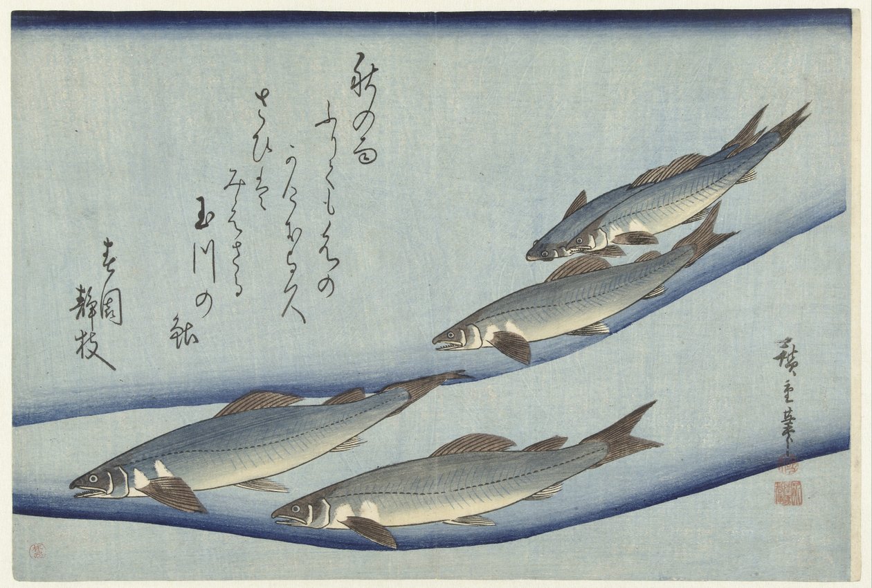 Forell av Hiroshige (I) , Utagawa