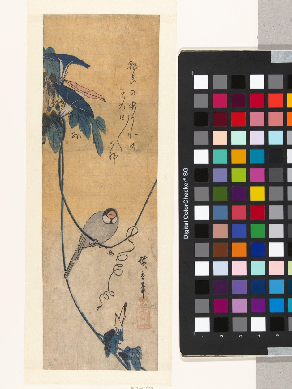 Fågel och blå bindweed av Hiroshige (I) , Utagawa