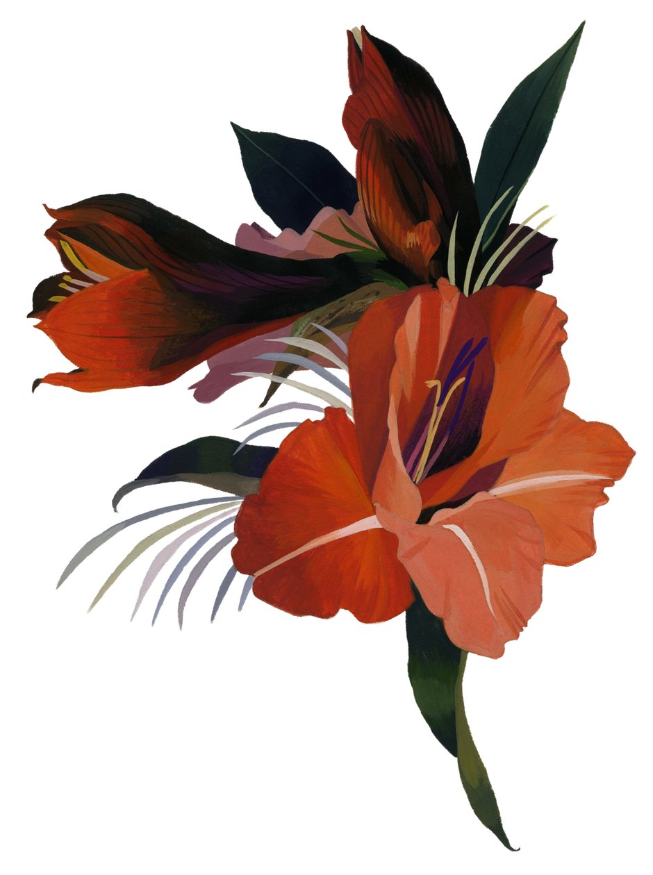 En imaginär blomma baserad på en amaryllis. av Hiroyuki Izutsu