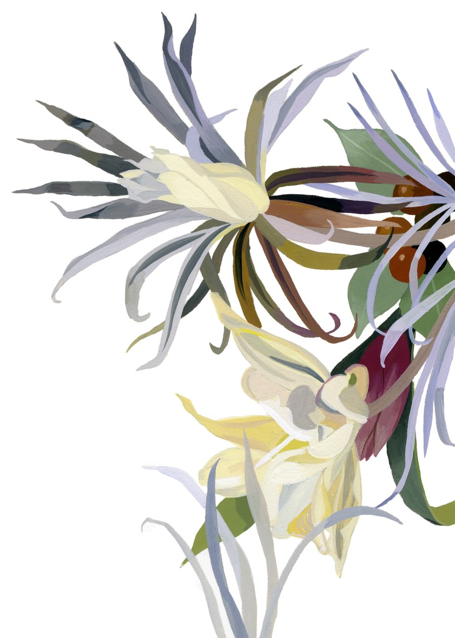 Eleganta, skäggliknande blommor. av Hiroyuki Izutsu