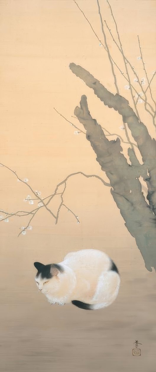 Hishida Shunso, katt och plommon blommar av Hishida shunso