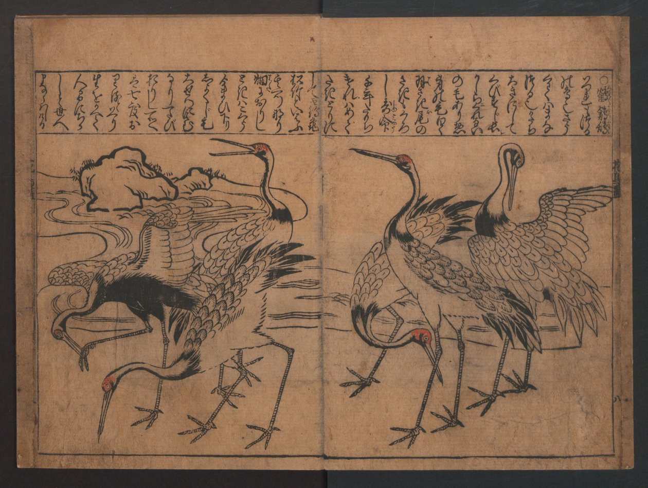 Illustrationen von Vögeln und Blumen (Kachō e-zukushi) av Hishikawa Moronobu
