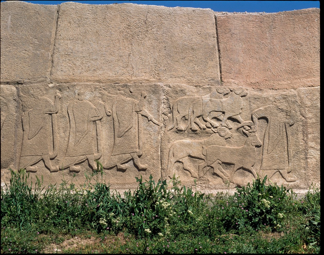 Vy över basen av reliefer av Sfinxens port av Hittite Hittite