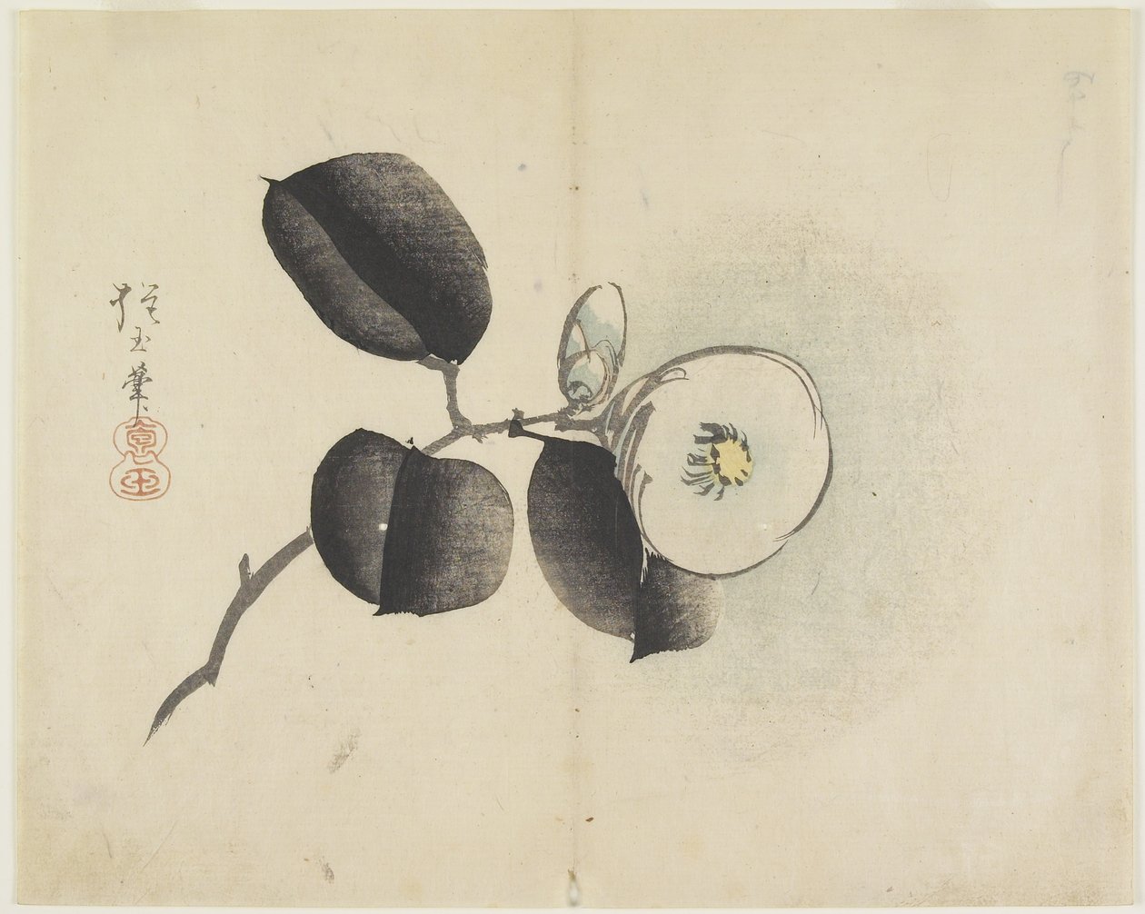 (Kameliablomma med knopp), ca 1830 av Hogyoku