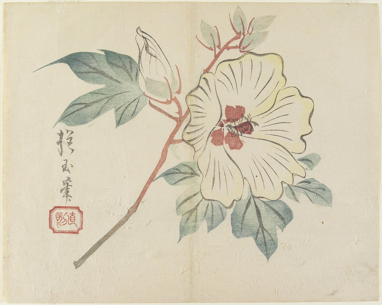 (Stor vit blomma), ca 1830 av Hogyoku