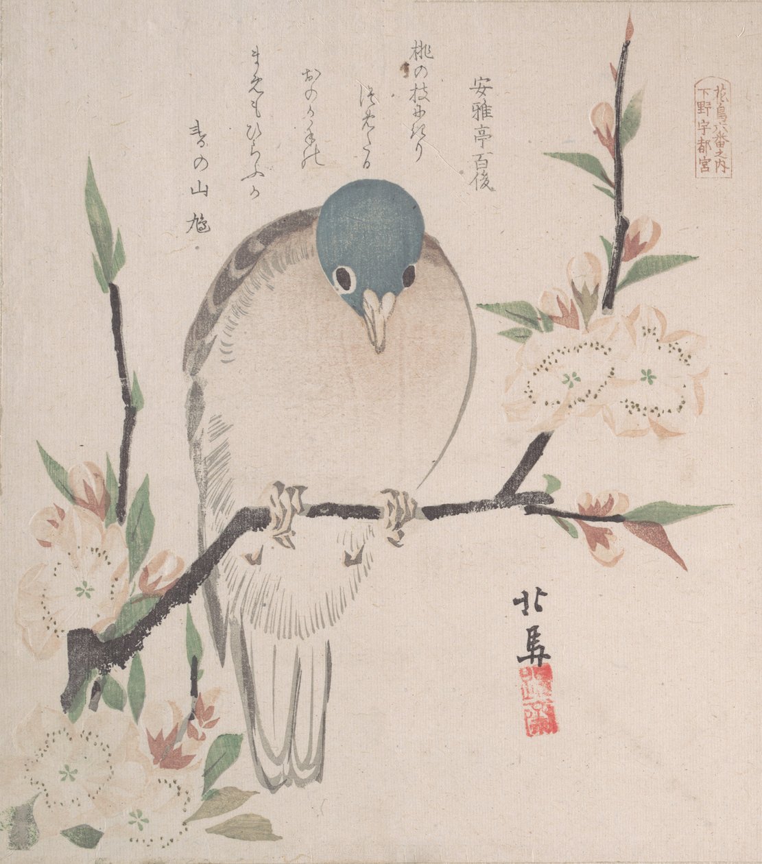 Spring Rain Collection Harusame shu, vol. 3: Mountain Dove and Peach Flowers, ca. 1820., ca. 1820. av Hokuba