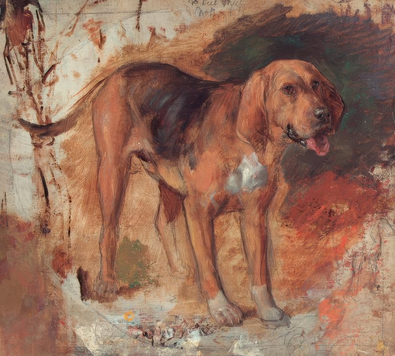H.Hunt, Studie av en blodhund av Holman Hunt
