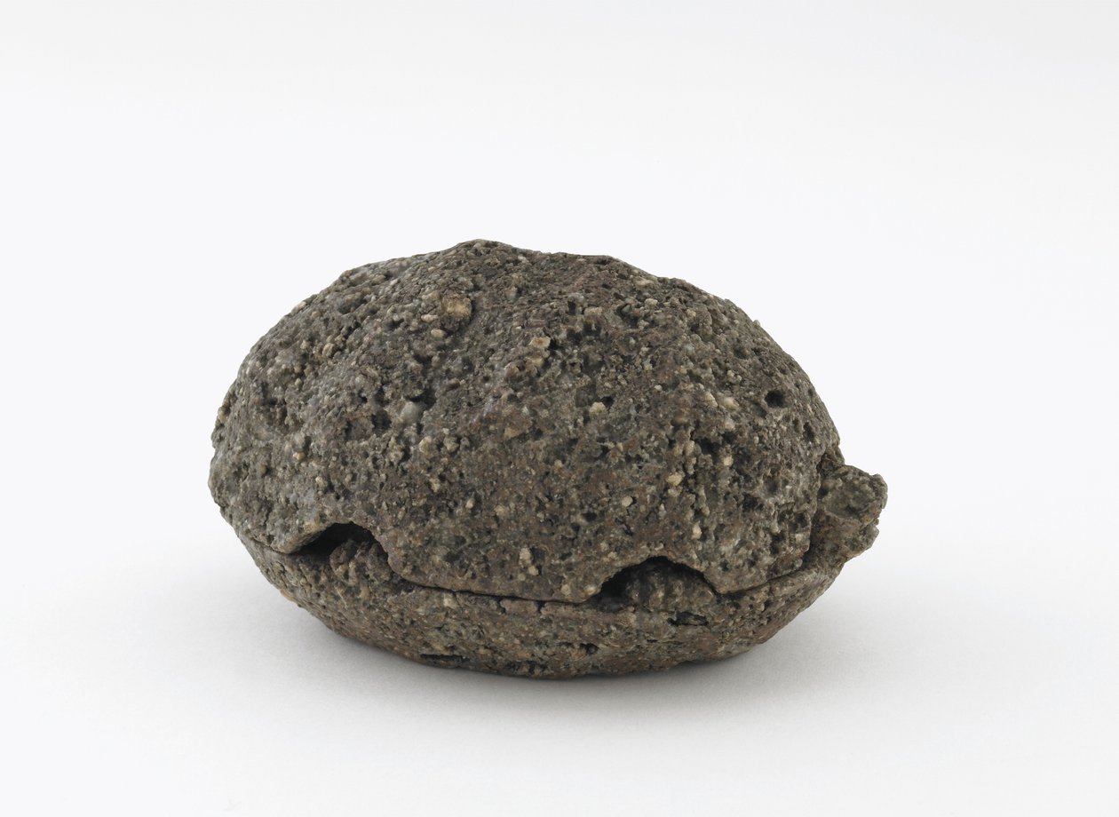 Rökelseask i form av en sköldpadda, Kyoto, Edo-period (oglaserat stengods i Shigaraki-stil) av Honami Koho