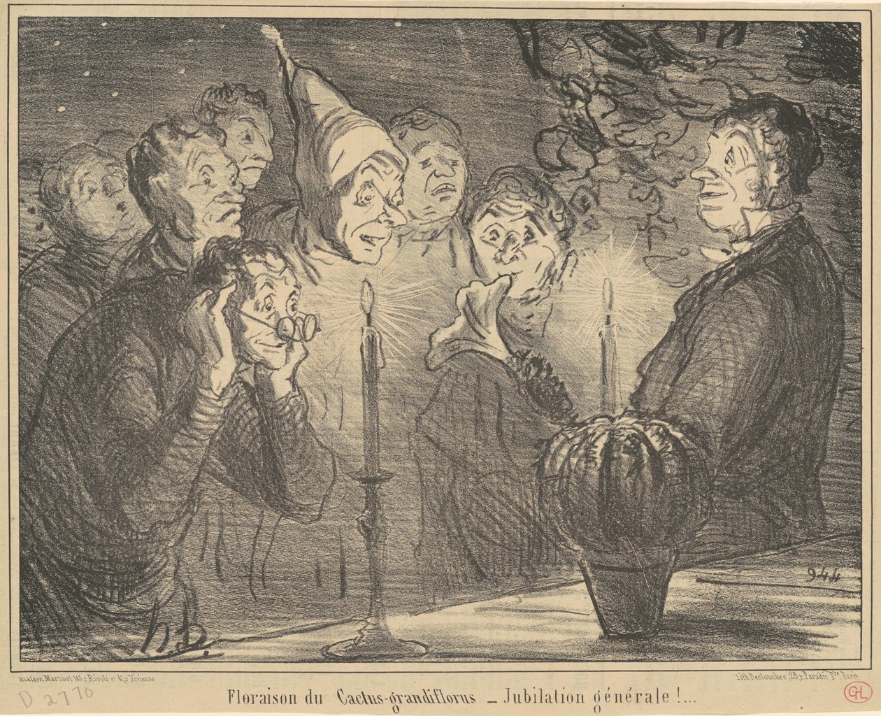Blomning av Cactus-grandiflorus... av Honoré Daumier