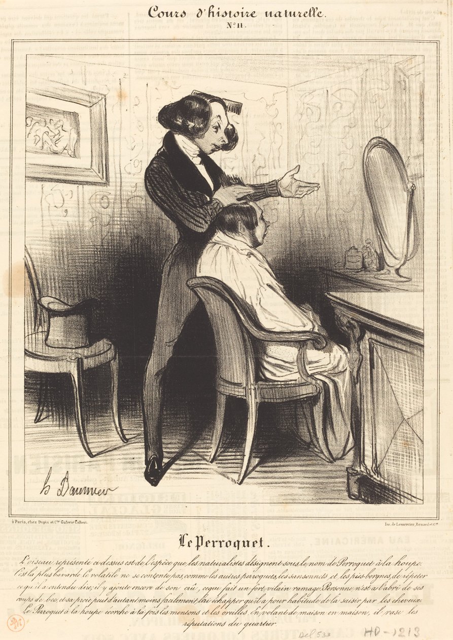Papegojan av Honoré Daumier