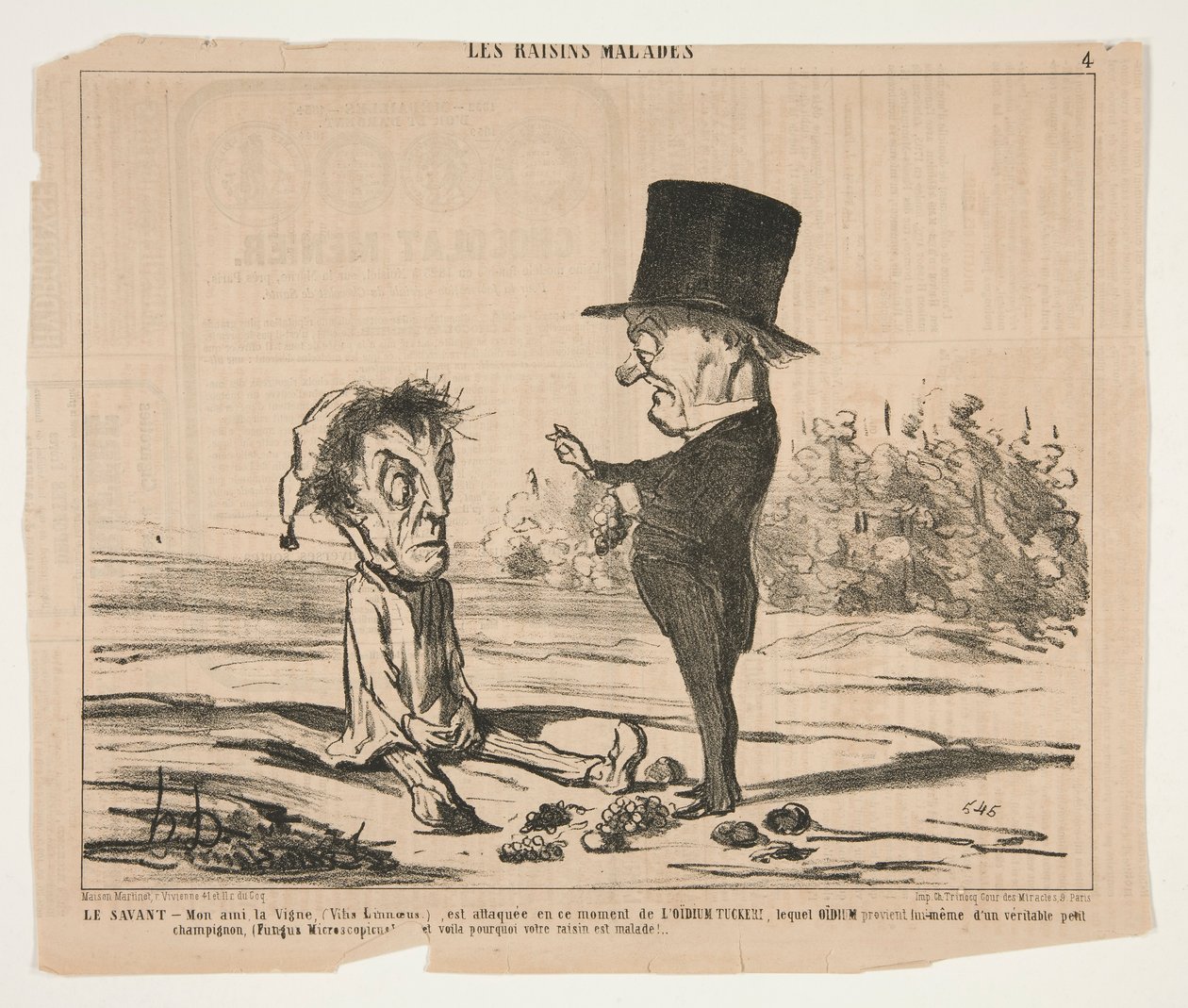 Den lärde - Min vän, Vine, (Vitis Linnaeus.), är under attack vid denna tidpunkt av Honoré Daumier