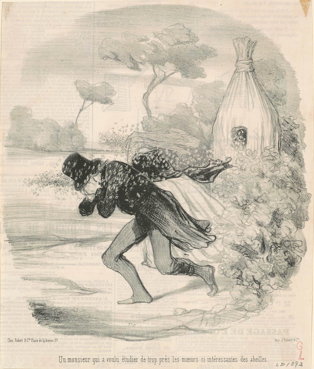 En gentleman som ville studera ... binas seder av Honoré Daumier