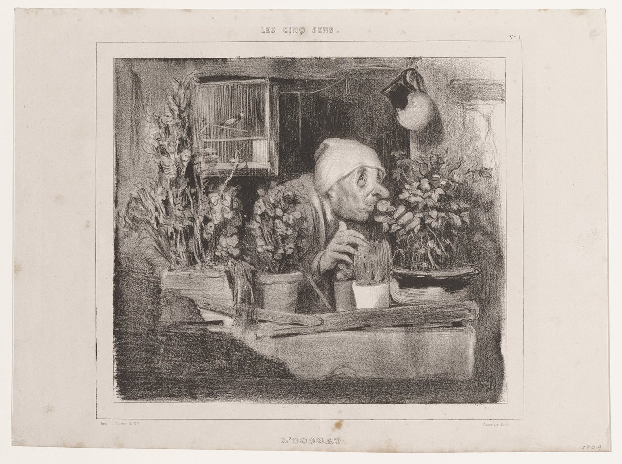 Luktsinnet (De fem sinnena), ur La Caricature av Honoré Daumier