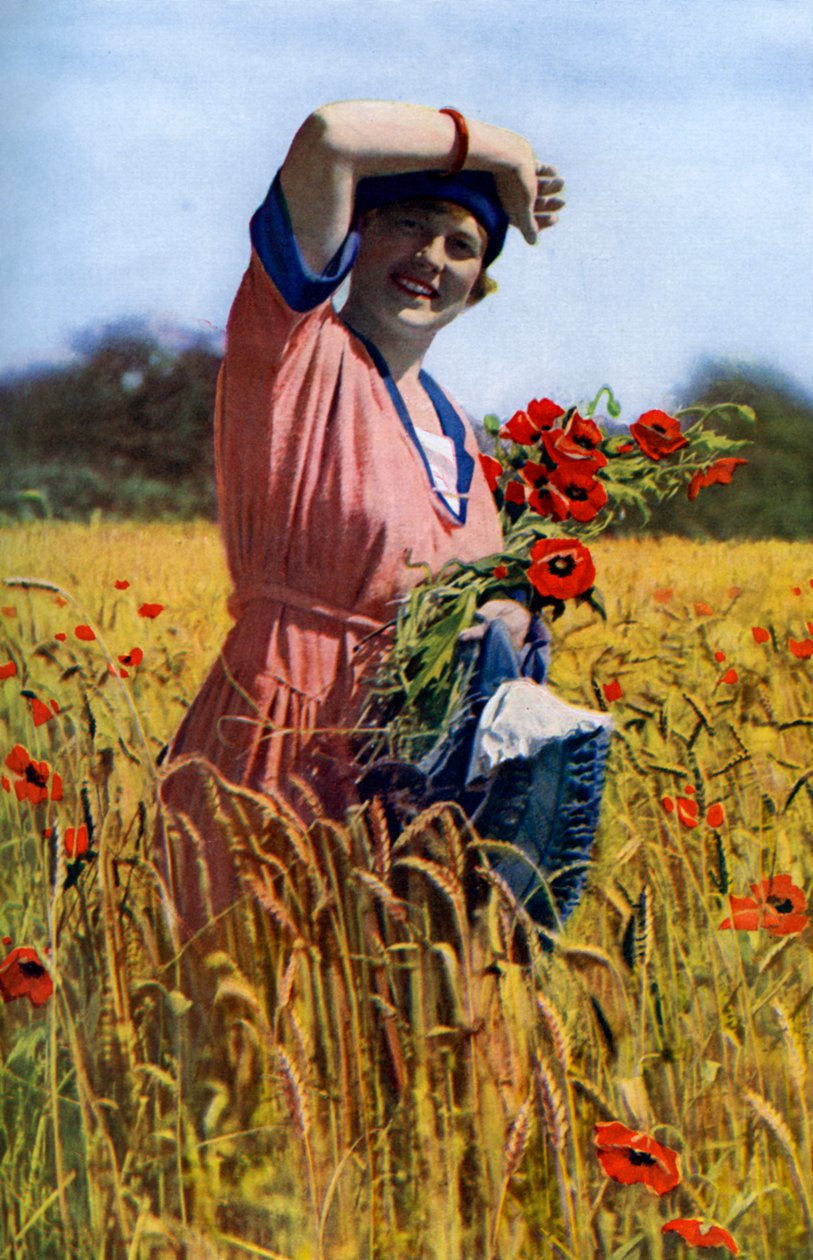 Den engelska rosen, c1922 av Horace Walter Nicholls