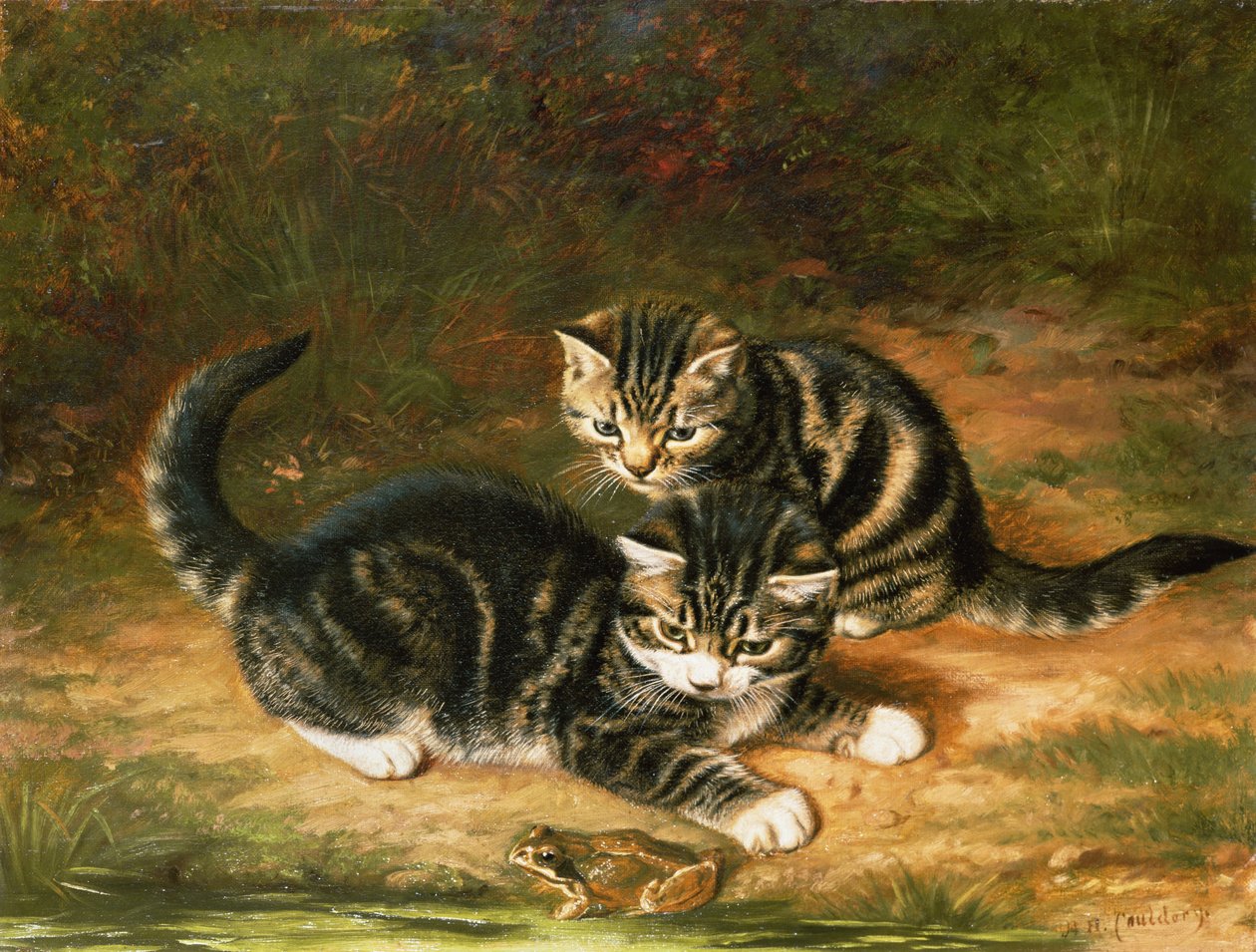 Kattungar av Horatio Henry Couldery