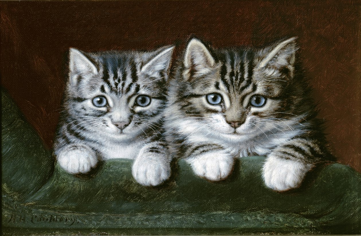 Två tabby kattungar (olja på duk) av Horatio Henry Couldery