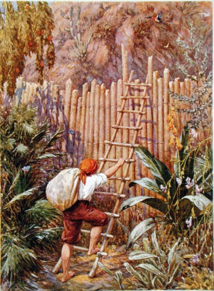 Crusoe och hans fästning, illustration för 